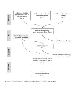 Revue de la littérature reproductible